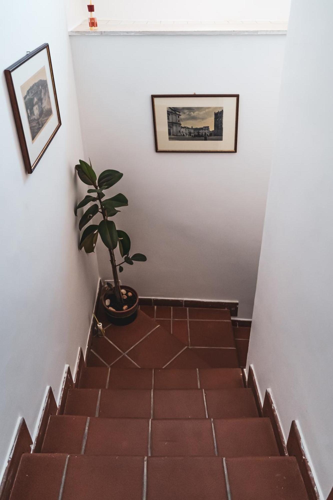 Casina Carina - Intero Appartamento Indipendente Alatri Exterior foto